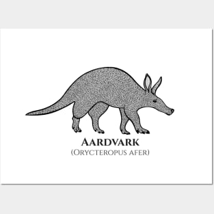 Aardvark with Common and Latin Names - animal design - on white Posters and Art